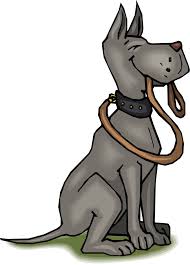 Risultati immagini per cane al guinzaglio
