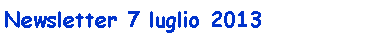 Casella di testo: Newsletter 7 luglio 2013
