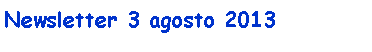 Casella di testo: Newsletter 3 agosto 2013