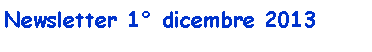Casella di testo: Newsletter 1 dicembre 2013